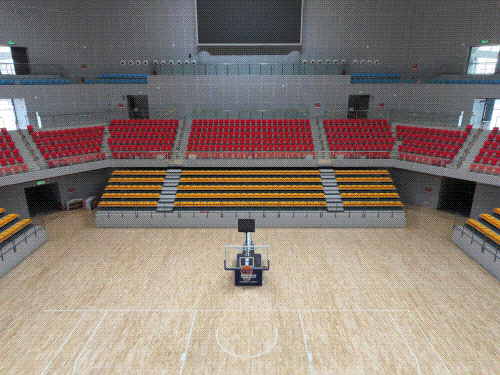 basel, 的比赛地点