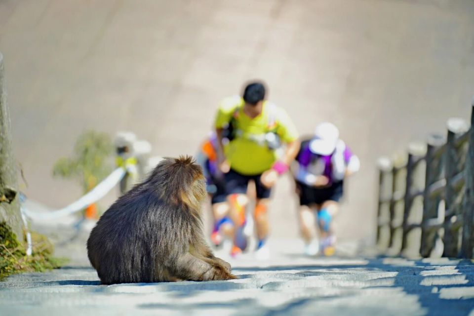 小时, abUkL, 强制装备